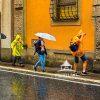 We were heading down to the Spanish steps in Rome and came across all of these umbrellas. These
