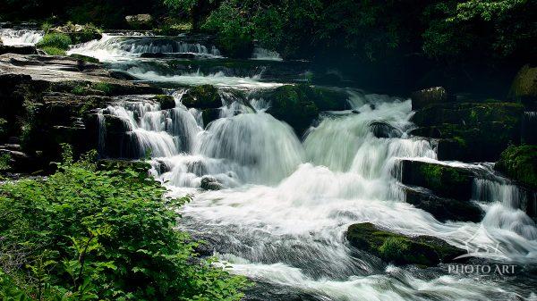 Driving through Nantahala National Forest I saw this roadside waterfall in all its might! I had to