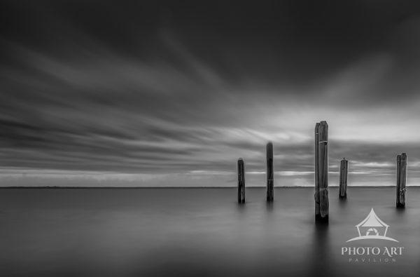 5 Posts in the Bay