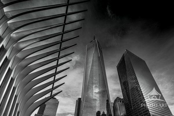 Oculus