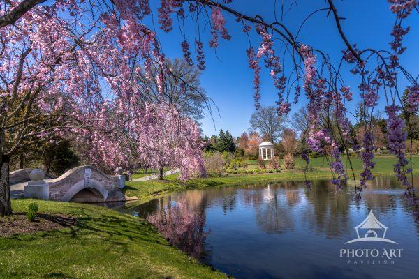 Nemours Estate in the Spring.
