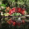 The artwork depicts a vibrant red arched bridge spanning across a calm body of water. The bridge
