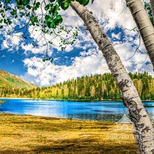 There are moments in photography when everything simply falls into place. As I stood among the