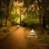 Sunset Path at Longwood Gardens