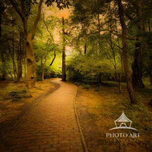 Sunset Path at Longwood Gardens