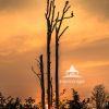 Sunrise at Bombay Hook National Wildlife Refuge