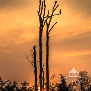 Sunrise at Bombay Hook National Wildlife Refuge