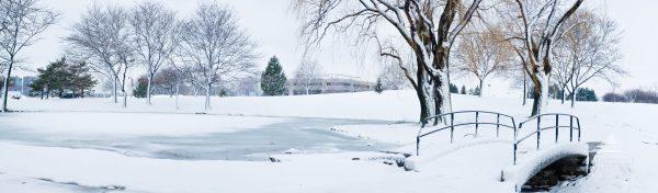 Panorama image of a winter scene in a beautiful park after a fresh snow fall! Pristine