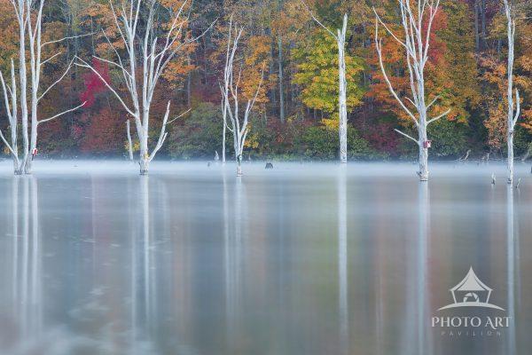 This sweeping horizontal landscape photograph captures a serene, atmospheric morning at the