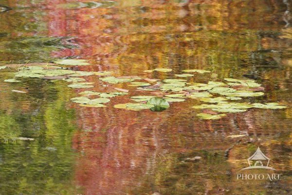 This impressionistic fine art photograph captures floating water lilies drifting across a vibrant,