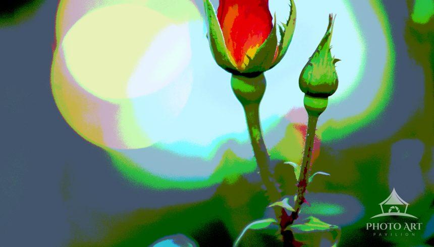 Nope, not a painting.