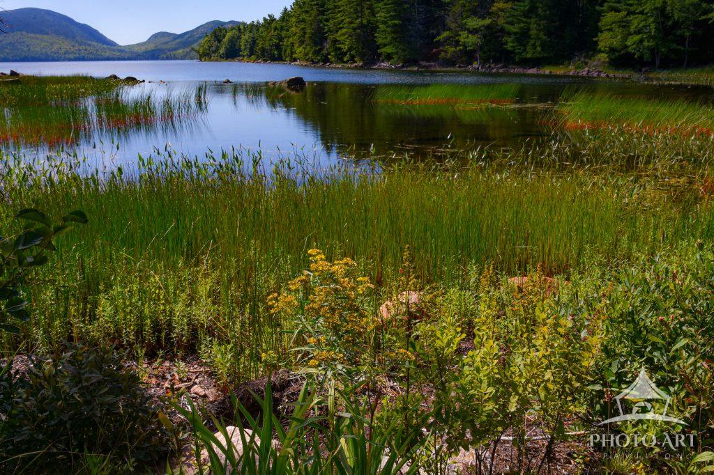 Finding a peaceful moment at Eagle Lake. So serene and beautiful. This was after a long bike ride