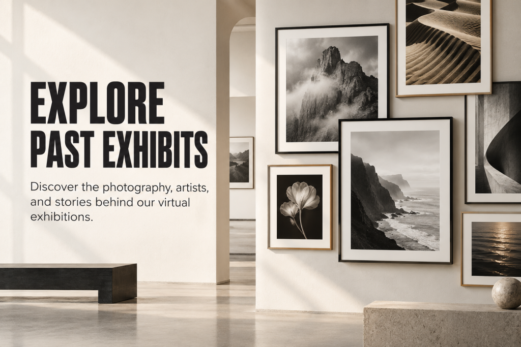 Photo Art Pavilion past exhibits