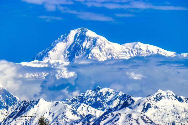 In the vast wilderness of interior Alaska, Mount Denali stands as the undisputed monarch of the