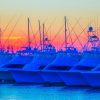 Boats at the Marina at Days End - "Evening Calm at the Marina" captures the serene majesty of