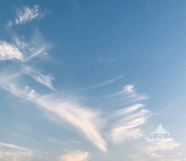 Go up, up and way in the white clouds.